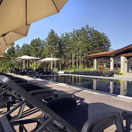 Esterra Vini Guest House Perushtitsa Dış mekan fotoğraf