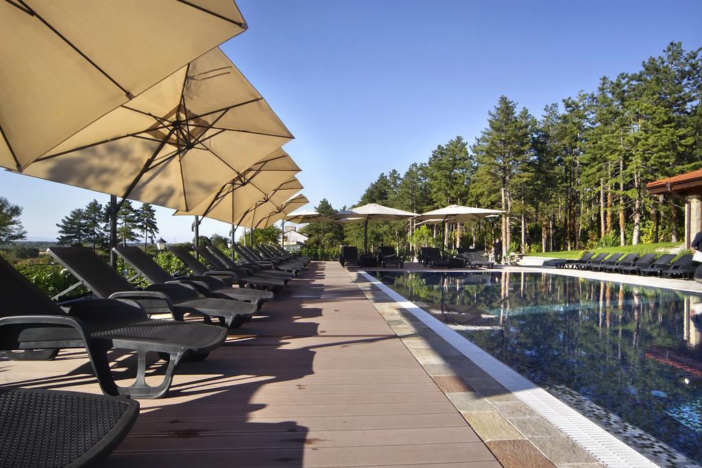 Esterra Vini Guest House Perushtitsa Dış mekan fotoğraf